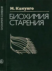 М. Канунго - Биохимия старения