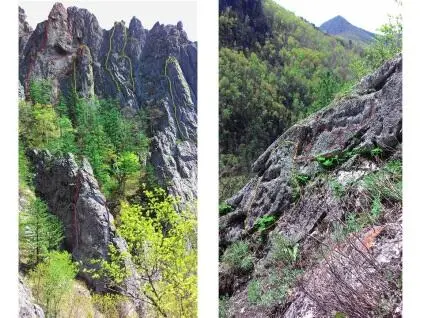 А ещё ниже у ручья видим огромные изваяния На левом снимке ближний край - фото 40