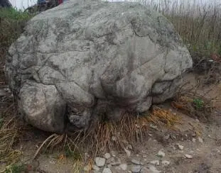 Здесь череп выбито лицо в полуоборот даже не надо обводить Написано на - фото 72