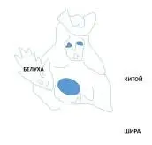 Упоминаемый на камне охотник тоже нашёлся левее На него падает свет от двух - фото 75