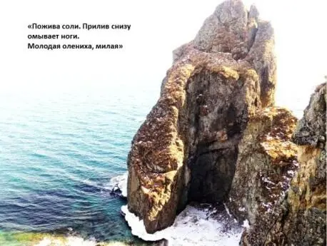 В Духово тоже есть интересная скала если идти вдоль Круглого озера и по берегу - фото 97