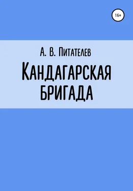 А Питателев Кандагарская бригада обложка книги