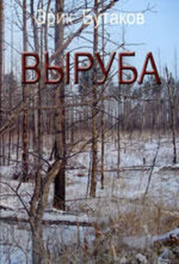 Эрик Бутаков Выруба обложка книги