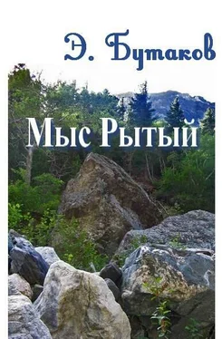 Эрик Бутаков Мыс Рытый обложка книги