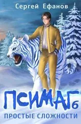 Сергей Ефанов - Простые сложности