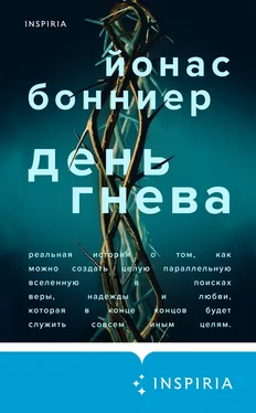 Йонас Бонниер День гнева [litres] обложка книги