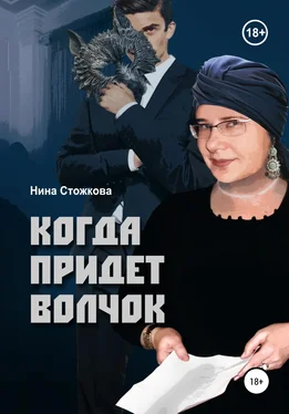 Нина Стожкова Когда придет Волчок обложка книги