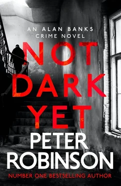 Peter Robinson Not Dark Yet обложка книги