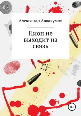 Александр Аввакумов Пион не выходит на связь обложка книги