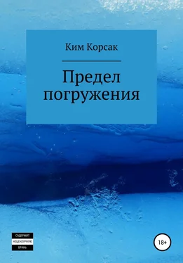 Ким Корсак Предел погружения обложка книги