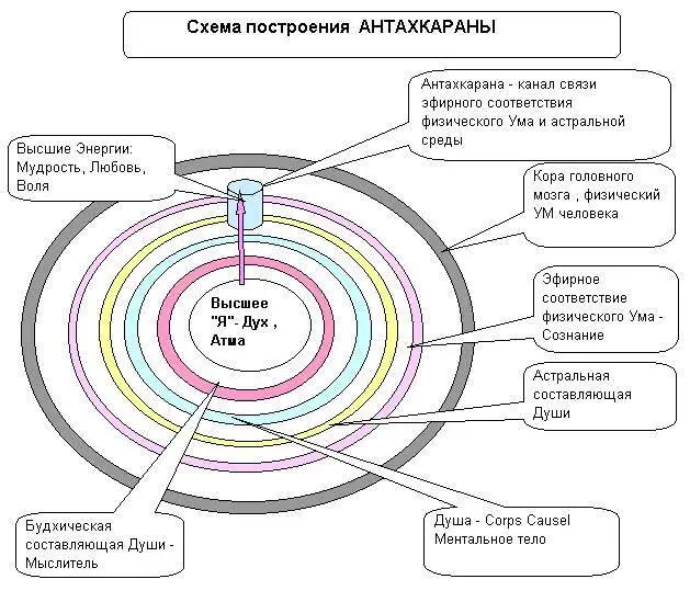 Так зарождается Мудрость Постепенно Разум начинает брать контроль над - фото 21