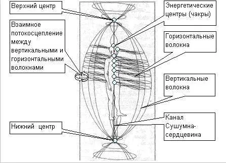 Таким образом Целитель осуществляет активизацию деятельности чакр Пациента и - фото 33
