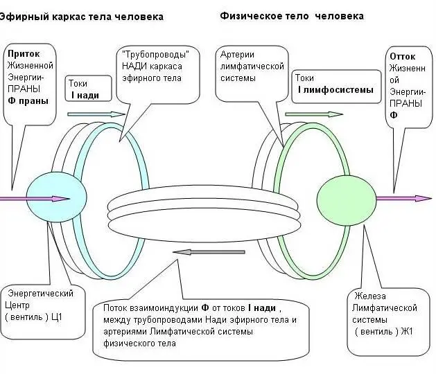 Энергетические центры являются чувствительными датчиками и приемо передатчиками - фото 9