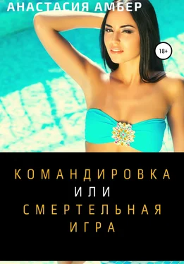 Анастасия Амбер Командировка обложка книги