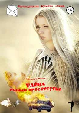 Александр Зиборов Тайна рыжей проститутки обложка книги