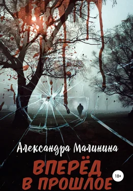 Александра Малинина Вперед в прошлое обложка книги