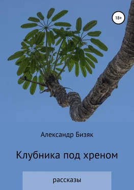 Александр Бизяк Клубника под хреном обложка книги