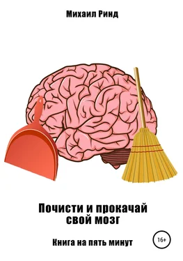 Михаил Ринд Почисти и прокачай свой мозг обложка книги