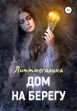 Литтмегалина Дом на берегу обложка книги