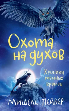 Мишель Пейвер Охота на духов [litres] обложка книги