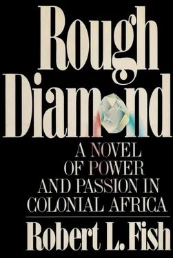 Роберт Фиш Rough Diamond обложка книги