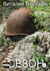 Виталий Воронин - Сезон
