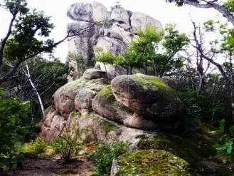 Она свёрнута в кольца отлично передана в камне сдавленность тела змея - фото 28