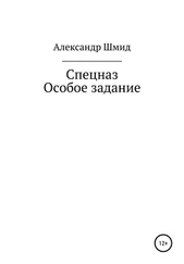 Александр Шмид - Спецназ. Особое задание