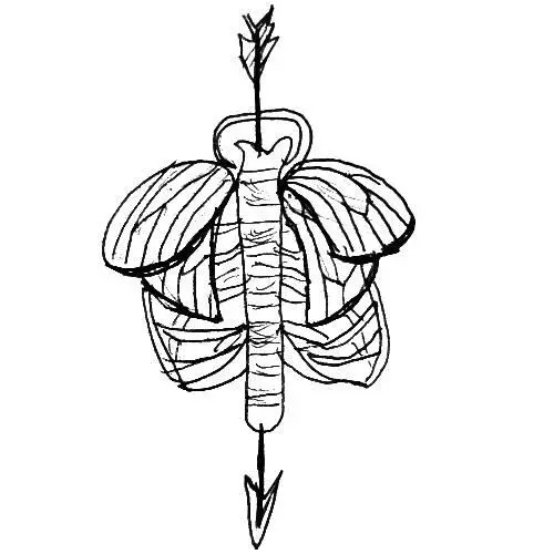 Каждый день ты слышишь ложь но что ты можешь против неё Они грязные и - фото 106