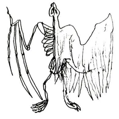 Не позволяйте своему прошлому диктовать своё будущее Сделайте такчтобы - фото 11