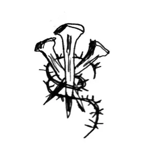 СОДЕРЖАНИЕ - фото 112