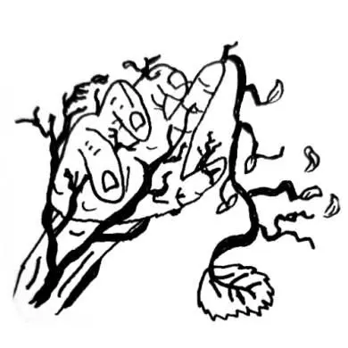 Никогда не позволяй тяжёлым урокам ожесточить твоё сердце Ник Вуйчич - фото 27