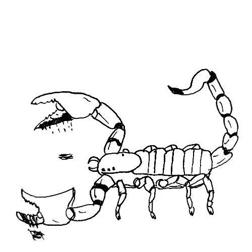 Всё имеет своё отражение свою противоположность Две стороны монеты две - фото 82