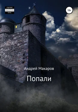 Андрей Макаров Попали обложка книги