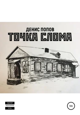 Денис Попов Точка слома обложка книги