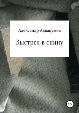 Александр Аввакумов Выстрел в спину обложка книги