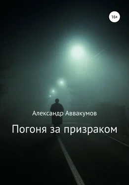 Александр Аввакумов Погоня за призраком обложка книги