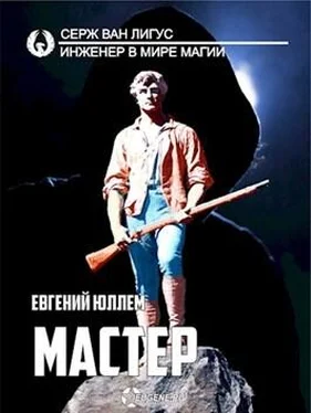 Евгений Юллем Мастер [СИ] обложка книги