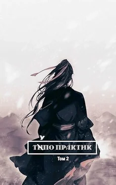 Лемор Тупо Практик [СИ] обложка книги