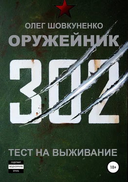 Олег Шовкуненко Оружейник. Книга первая. Тест на выживание обложка книги