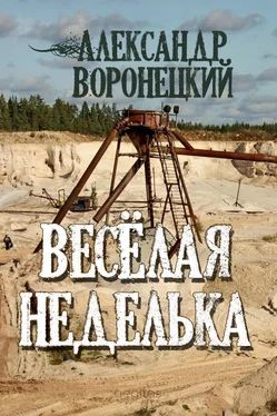 Александр Воронецкий «Веселая» неделька обложка книги