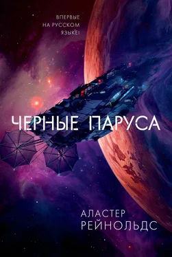 Аластер Рейнольдс Черные паруса [litres] обложка книги