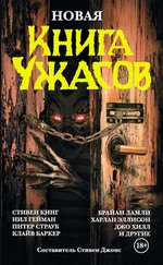 Стивен Джонс - Новая книга ужасов