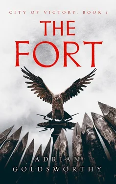 Адриан Голдсуорти The Fort обложка книги