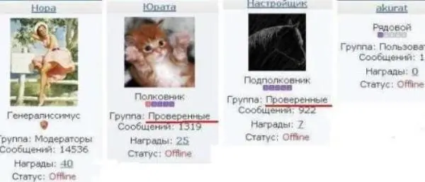 Рис 17 На фото Иерархия званий на форуме Норы Нора сразу же присвоила - фото 17