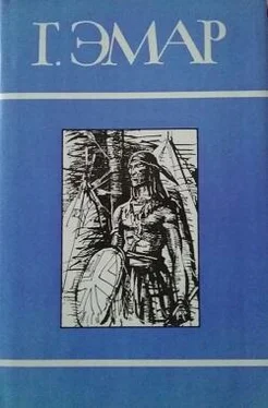 Густав Эмар Том 25. Вождь окасов. Дикая кошка. Периколя. Профиль перуанского бандита обложка книги