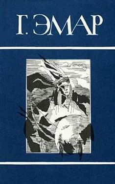 Густав Эмар Том 24. Сожженые леса. Тайные чары великой Индии. Вождь Сожженных Лесов. Рассказы из жизни в бразильских степях обложка книги