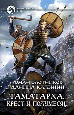 Роман Злотников Крест и Полумесяц [litres] обложка книги