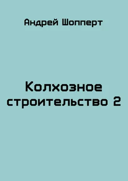 Андрей Шопперт Колхозное строительство 2 [СИ] обложка книги