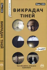 Марк Леви - Викрадач тіней